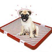 سینی توالت سگ سایز بزرگ danniel